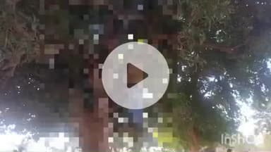 बहराइच: परसा आगैय्या गांव में दंपति की संदिग्ध मौत, पत्नी के बाद पति का शव फंदे से लटकता मिला, पुलिस जांच में जुटी