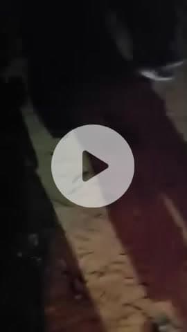 तहसील भगवानपुर क्षेत्र के गौशाला गांजा मजरा खेड़ी शिकोहपुर में स्थित ईंट के भट्टे पर मजदूरों को बंधक बनाए रखने की शिकायत