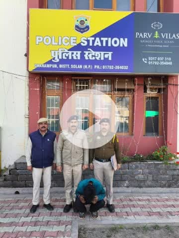 सोलन: धर्मपुर पुलिस ने की बड़ी कार्रवाई, युवक से 5 ग्राम चिट्टा किया बरामद