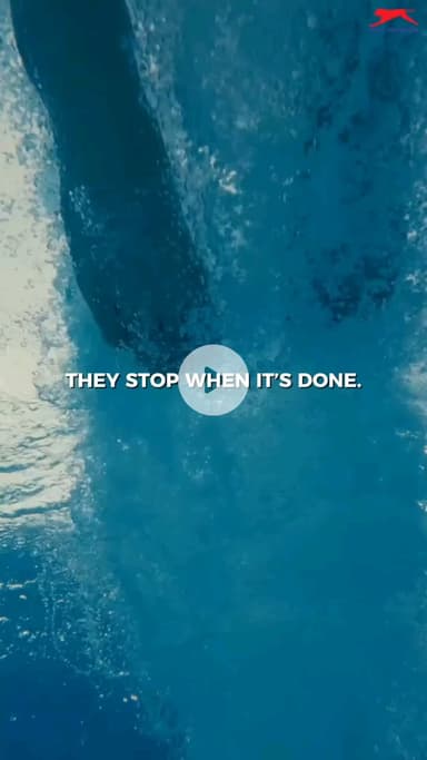 चूरू जिले में ऐक मात्र authorized dealer 
shivnaresh Tracksuits 
Tejas Enterprises 
pankha circle 
Churu
 ph 9810515300