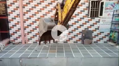 मथुरा: नगर निगम टीम ने नटवर नगर से वृंदावन तक चलाया अतिक्रमण विरोधी अभियान, जेसीबी से किया ध्वस्त