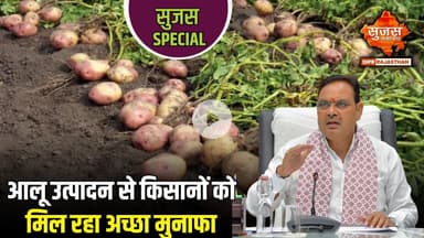 टिब्बी क्षेत्र आलू उत्पादन का बन रहा केंद्र | Sujas Special | Sujas Samachar | DIPR Rajasthan