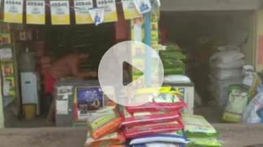 विभूतिपुर: विभूतिपुर समेत पूरे जिले में खाद की भारी किल्लत, ऊंचे दाम पर खाद बिकने से किसान परेशान