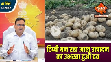 सीएम श्री शर्मा के विजन से प्रेरित होकर टिब्बी के किसानों ने लिखा सफलता का नया अध्याय | 41 Zile