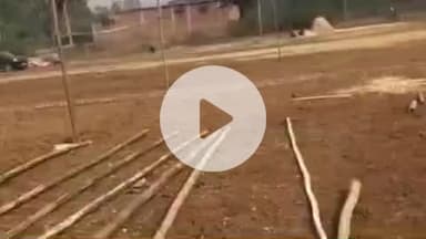 कोईलवर: कोईलवर प्रखंड के पचैना गांव में श्री लक्ष्मी नारायण महायज्ञ की तैयारी जोर-शोर से जारी