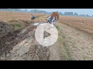 ग्राम पंचायत रामदासपुर जाने वाला कच्चा मार्ग कीचड़ से भरा, राहगीरों को हो रही भारी परेशानी