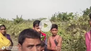 महागामा: सरभंगा रेलवे क्रॉसिंग के पास बाइक की टक्कर से बकरी की मौत, चालक घायल