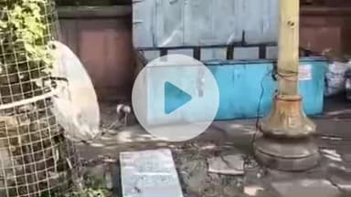 लाडपुरा: संजय नगर पुलिया से पोलिटिकल कॉलेज तक नगर निगम की टीम ने पीला पंजा चलाकर हटाया अतिक्रमण