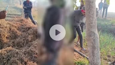 जैसीनगर: ग्राम वीरपुरा में युवक ने खेत में पेड़ से फांसी लगाकर दी जान, पुलिस जांच में जुटी