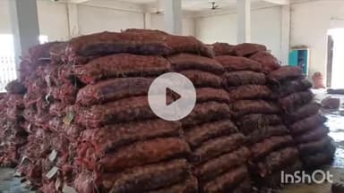 पाकुड़: पाकुड़ के काशिला गाँव में भीषण नुकसान: कोल्ड स्टोरेज में रखे 23 हजार बोरी आलू बर्बाद, बिजली कटौती बनी वजह