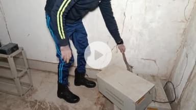 झालरापाटन: झालावाड़ के पॉलीटेक्निक महाविद्यालय में घुसा मॉनिटर लिजार्ड, रेस्क्यू एक्सपर्ट ने पकड़कर सुरक्षित जंगल में छोड़ा