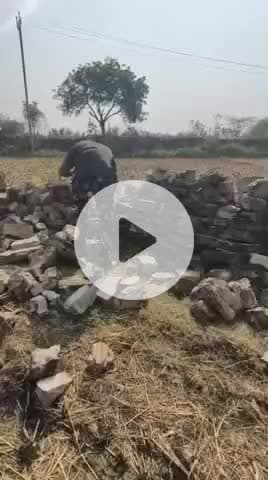 लाडपुरा: कोटा के गंदीफली गाँव में फसल के बीच मिला खतरनाक रसेल वाइपर, जाने-माने रेस्क्यूर रॉकी डैनियल ने किया सुरक्षित रेस्क्यू