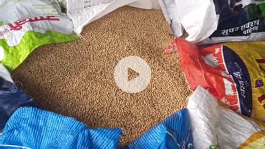 कालापीपल: कालापीपल मंडी में सोयाबीन की बंपर आवक, अधिकतम ₹4500 प्रति क्विंटल बिकी