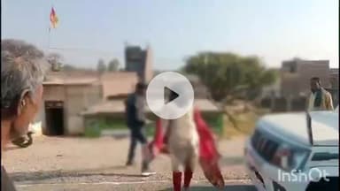 शाहजहांपुर: शादी तय होने पर सड़क पर हंगामा, प्रेमी-प्रेमिका की झड़प का वीडियो सोशल मीडिया पर हुआ वायरल