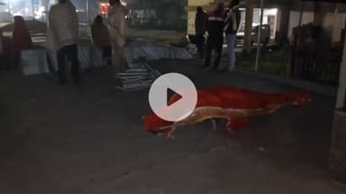 मोहनिया: घायल मां को इलाज के लिए यूपी के अस्पताल में भर्ती कर लौट रहे बेटे की ट्रेन से गिरकर मौत, GRP ने पोस्टमार्टम के लिए भेजा