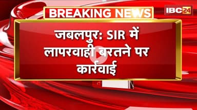Jabalpur News: SIR में लापरवाही बरतने पर कार्रवाई। कलेक्टर ने 2 BLO, 1 पटवारी को किया निलंबित