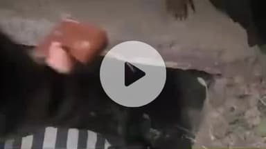 लाडपुरा: बोरखेड़ा ग्रामीण पुलिस लाइन में जर्जर पुलिया टूटकर गिरने से महिला नाले में गिरी, वीडियो सोशल मीडिया पर वायरल