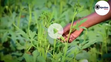 अब पीएम किसान आने का डेट आ गया है किस तरह से आप अपना पीएम किसान को अपडेट कर सकते हैं इस VIDEO के माध्यम से आप देखिए।