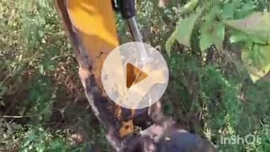 समुद्रपूर: गणेशपूर पारधी बेड्यावर गावठी मोहा दारू गाळपाणा विरोधात पोलिसांची कारवाई:५ लाख ८८ हजाराचा मुद्देमाल नष्ट