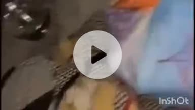 सोनीपत: कोट मोहल्ले में बंद मकान का ताला तोड़कर चोरी, मौके पर ही चोर पकड़ा गया