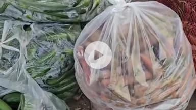 सोलन: सोलन सब्जी मंडी में किसानों को लहसुन के शानदार दाम मिले