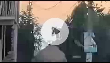 ऋषिकेश: चोपड़ा फार्म में हाथी की धमक को लेकर कनिष्ठ प्रमुख बिना चौहान ने वन विभाग से अगस्त बढ़ाने की मांग की