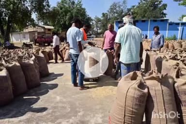 कोंडागांव: जिले में अब तक 12 हजार क्विंटल धान की खरीद हो चुकी है