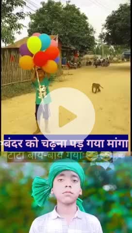 ##गुब्बारे पे बंदर को चढ़ना पड़ गया महंगा@😂😂😂