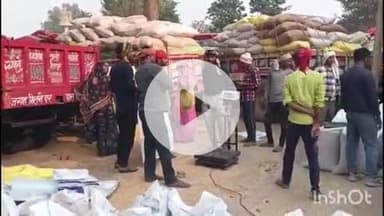 भोगनीपुर: मंडी समिति पुखरायां में बने ज्वार क्रय केंद्र पर ज्वार लेकर आए किसान तौल न होने से खुले आसमान के नीचे बिता रहे रात