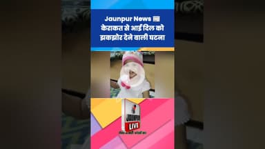 Jaunpur News: केराकत से आई दिल को दहला देने वाली घटना  #Shorts #ShortsFeed #Viral #ViralVideo