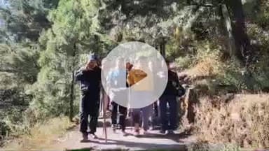 नैनीताल: चाइना पीक घूमने गया 12वीं का छात्र जंगल में गुम होने के बाद बड़ी मुश्किल से मिला