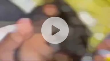 लाडपुरा: रेलवे कॉलोनी थाना क्षेत्र की प्रताप कॉलोनी में बजरंग दल के नेता पर पुरानी रंजिश के चलते हमला, मुकदमा दर्ज