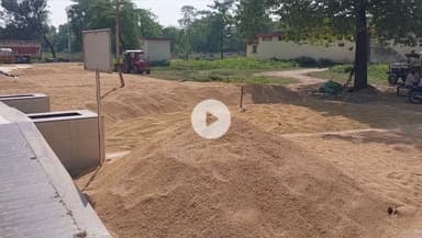 पूरनपुर: मंडी में धान खरीद पर उठे सवाल, किसानों को कम दाम में बेचना पड़ा धान