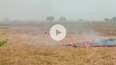 हमीरपुर: कुरारा क्षेत्र में लगातार जागरूक करने के बावजूद खेतों में जलायी जा रही पराली