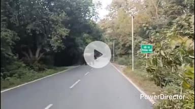 कालाढूंगी: कालाढूंगी नैनीताल मोटर मार्ग पर आबादी के निकट हाथियों का झुंड पहुंचा, वन विभाग की टीम ने बढ़ाई गश्त