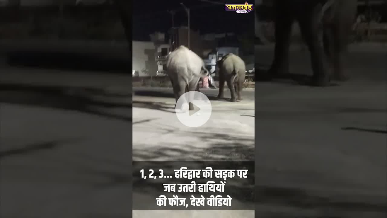 1, 2, 3... हरिद्वार की सड़क परजब उतरी हाथियोंकी फौज, देखे वीडियो #elephantviralvideo #uttarkhandnews