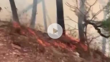 देहरादून: प्रदेश में 14 साल बाद वन कर्मियों के वर्दी भत्ते की दरें बढ़ीं, दोगुना से लेकर सात गुना तक की गई बढ़ोतरी