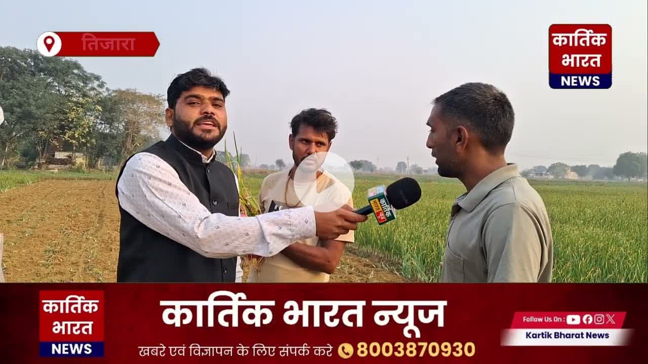 तिजारा: मैनाकी गांव के किसान ने दो बीघा प्याज पर चलाया हल, गिरते भाव से दुखी #tijaranews