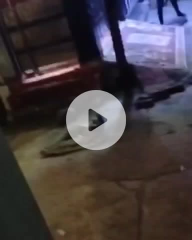 कानपुर: चकेरी के कृष्ण नगर में निकाला गया विशाल काय अजगर, वीडियो सोशल मीडिया पर हुआ वायरल