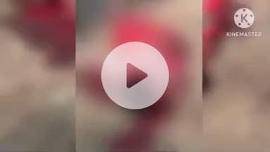 हमीरपुर: करहिया गांव में महिला की हत्या, पड़ोसी शख्स ने कुल्हाड़ी से किया हमला