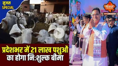 राजस्थान में 1 दिसंबर से शुरू होगी मंगला पशु बीमा योजना 2025–2026 | Sujas Special | Sujas Samachar