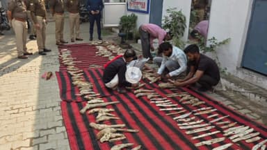 फिरोज़ाबाद: रसूलपुर पुलिस ने 285 अवैध शस्त्र व चाकुओं का किया विनष्टिकरण