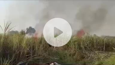 बलरामपुर: गौरा चौराहा क्षेत्र में पराली जलाने से लाखों रुपए का गन्ना जल गया, तीन एकड़ से अधिक गन्ने की फसल हुई बर्बाद