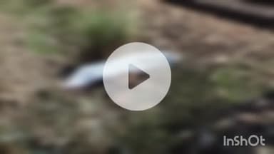 औरैया: दिबियापुर के फफूंद रेलवे स्टेशन पर ट्रेन से कटकर युवक के शव की हुई पहचान, मृतक अछल्दा क्षेत्र का निवासी