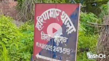 मुंगेर: सड़क हादसे में छात्र की मौत से कोहराम, गंगा पार हरिणमार पंचायत के डुमरिया टोला में हुआ हादसा