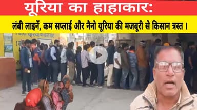 यूरिया का हाहाकार: लंबी लाइनें, कम सप्लाई और नैनो यूरिया की मजबूरी से किसान त्रस्त ।