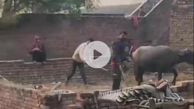 मथुरा: पथराव कर मारपीट के मामले में दर्ज मुकदमे से बौखलाए दबंग, SC/ST में फंसाने का रच रहे षड्यंत्र