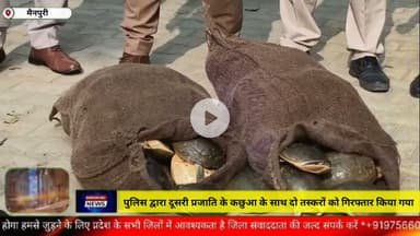 मैनपुरी/UP– पुलिस ने दूसरी प्रजाति के कछुओ के साथ दो तस्करों को गिरफ्तार किया है