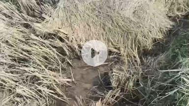 लोहरदगा: लोहरदगा ज़िले में 29 व 30 को बारिश की संभावना, उपायुक्त डॉक्टर ताराचंद ने किसानों को धान कटाई में सावधानी बरतने को कहा