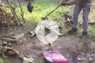 हरिद्वार: उत्तराखंड लोक सेवा आयोग के मेन गेट के पास निकला जहरीला सांप रसैल वाइपर, वन कर्मियों ने उसे पकड़कर जंगल में छोड़ा